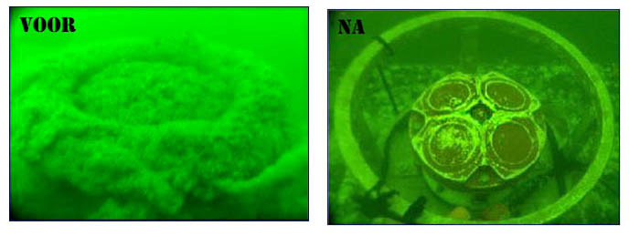 removal of marine growth